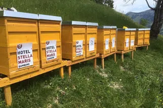 Bienenstöcke  Bild 12