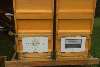 Bienenstöcke  Bild 7