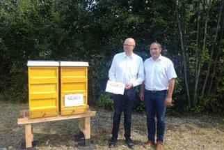 Bienenjahr '18 Bild 135