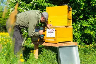 Bienenjahr '18 Bild 320
