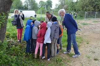 Bienenjahr '18 Bild 213
