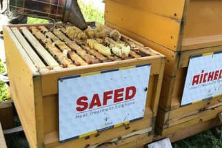 Bienenjahr '18 Bild 250