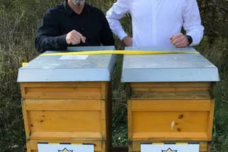 Bienenjahr '18 Bild 245