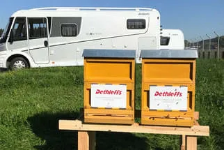 Bienenjahr '18 Bild 46