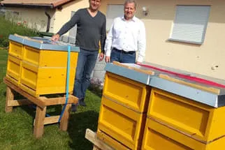 Bienenjahr '18 Bild 22