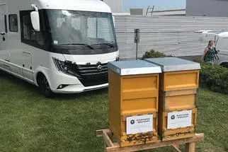 Bienenjahr '18 Bild 6