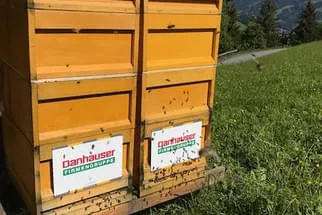 Bienenjahr '18 Bild 224