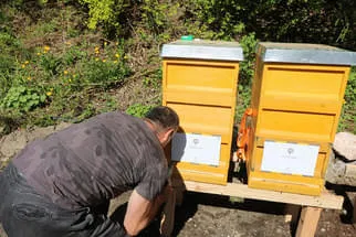Bienenjahr '18 Bild 256