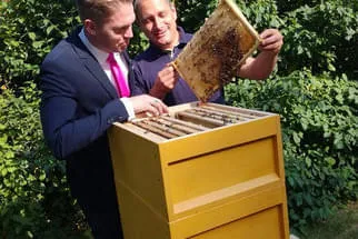 Bienenjahr '18 Bild 149