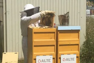 Bienenjahr '18 Bild 116