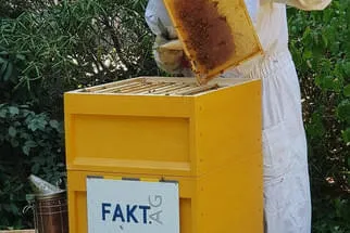 Fakt AG Bild 79