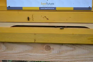 Fokus Zukunft Bild 1
