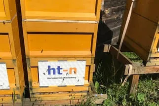 HTN  Bild 1