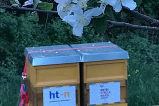 HTN  Bild 5