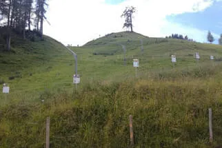 Seidl Alm