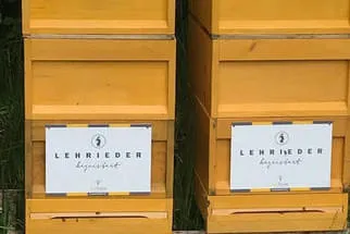Lehrieder