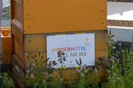 Bienen-fuer-Kinder-